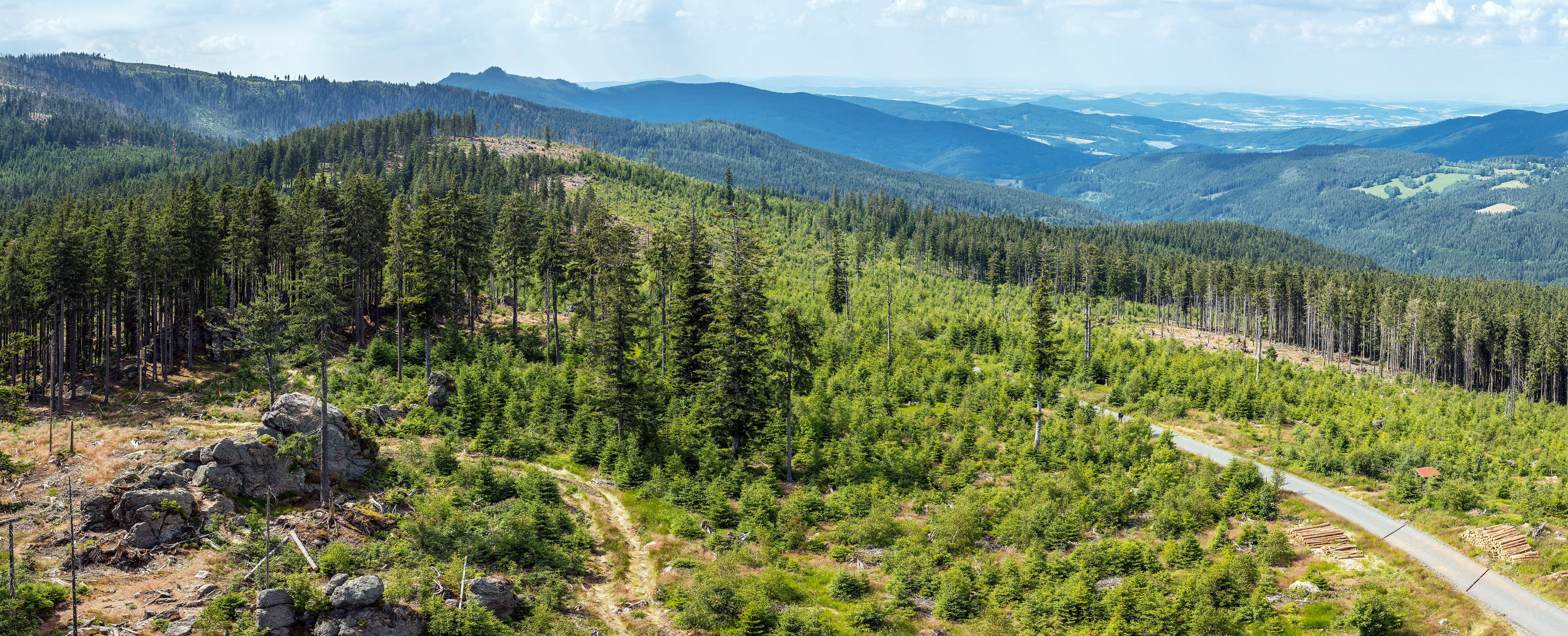 Šumava